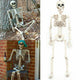 Posable Life Size Skeleton Decoration-TopOnlineBargains.Com