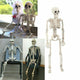 Posable Life Size Skeleton Decoration-TopOnlineBargains.Com