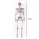Posable Life Size Skeleton Decoration-TopOnlineBargains.Com