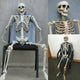 Posable Life Size Skeleton Decoration-TopOnlineBargains.Com