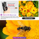 Phone macro lens-TopOnlineBargains.Com