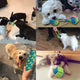 Dog Rope Toys For Small, Medium and Large Dogs-TopOnlineBargains.Com
