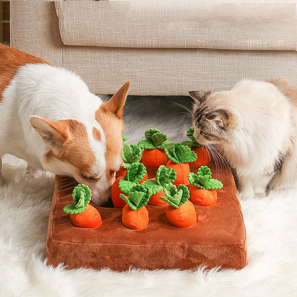 Interactive Plush Carrot Pet Toy-TopOnlineBargains.Com