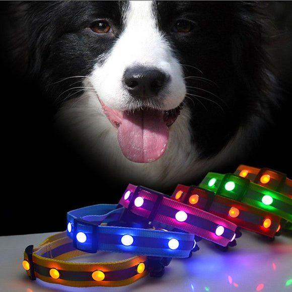 Glowing LED Adjustable Pet Dog Collar-TopOnlineBargains.Com