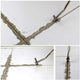 Grout Remover-TopOnlineBargains.Com