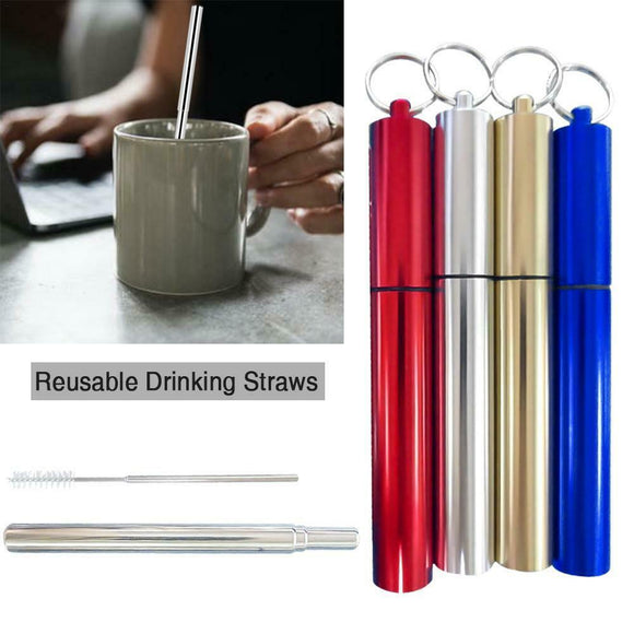 Stainless Steel Extendable Straw (Family Pack of 4 different colors)-TopOnlineBargains.Com