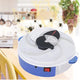 Fly Trap-TopOnlineBargains.Com