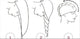 Hair Towel_offer-TopOnlineBargains.Com