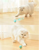 Kitty Ball-TopOnlineBargains.Com