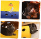 Purr Tunnel-TopOnlineBargains.Com