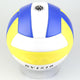 Indoor Outdoor Volleyball-TopOnlineBargains.Com